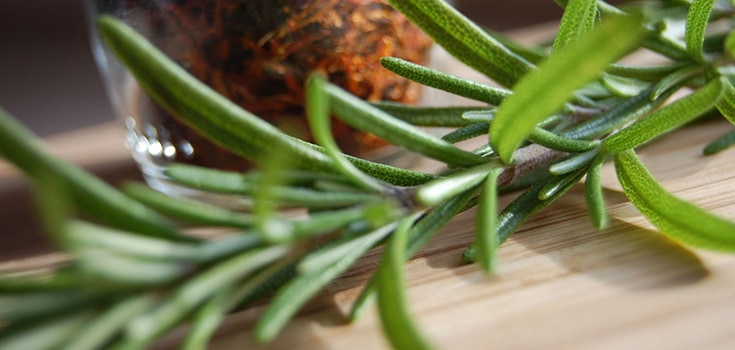 Rosemary Benefits – The Memory Booster and Powerful Antioxidant