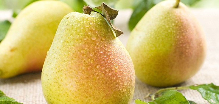 Diet Rich in Apples and Pears may Lower Stroke Risk by 52%