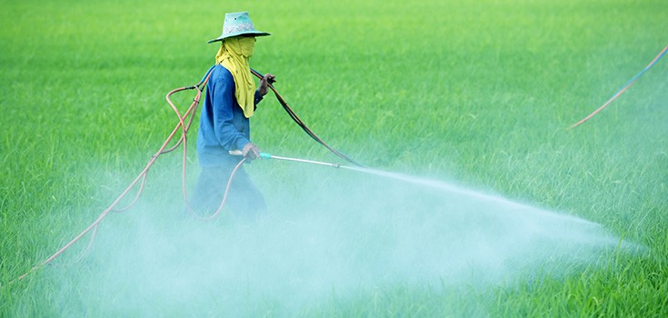 Deadly Pesticides Linked to Increased Prostate Cancer Risk