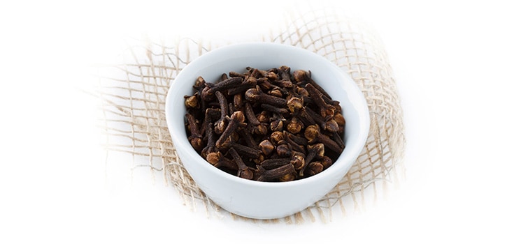 Cloves: The “Best” Antioxidant Addition to Your Diet