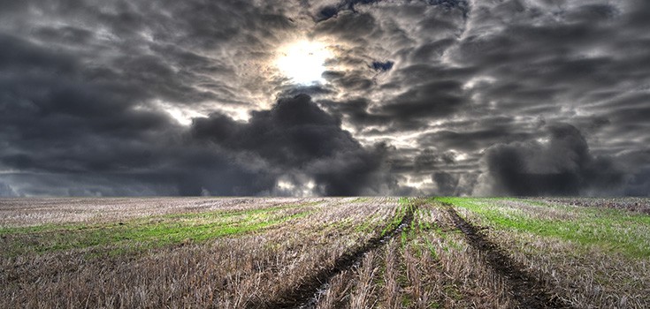 cloudy crop field