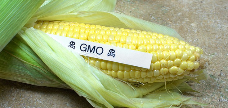 Citizens Call for GMO Labeling in Washington – The Movement Continues