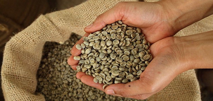 Health Benefits of Green Coffee: Weight Loss, Diabetes, More