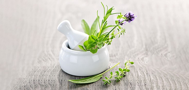 The Benefits of Growing Thyme Plants: Grow Your Own Medicine