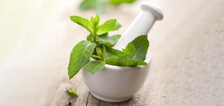 Grow Your Own Medicine: Peppermint Tea Benefits