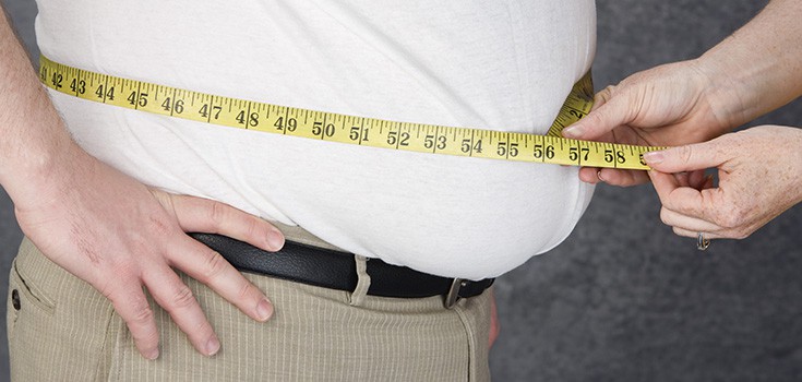 Fructose Found to Cause Overeating and Fat Gain, Study Says