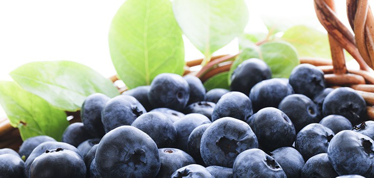 7 Natural Brain Foods for Cognition and Concentration
