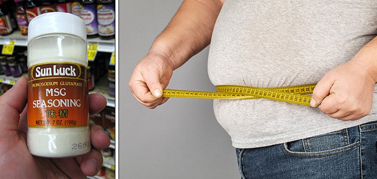 Does MSG Make You Fat? The Link Between MSG and Weight Gain