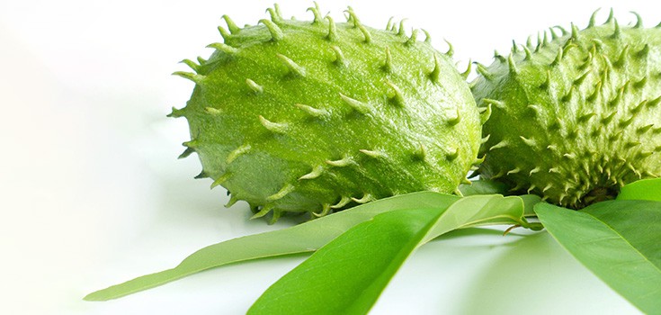 guyabano benefits - soursop, graviola, guanabana fruit