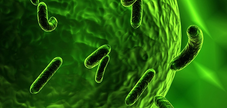 The Rise of ‘Nightmare’ Bacteria: ‘Last Resort’ Antibiotics Useless