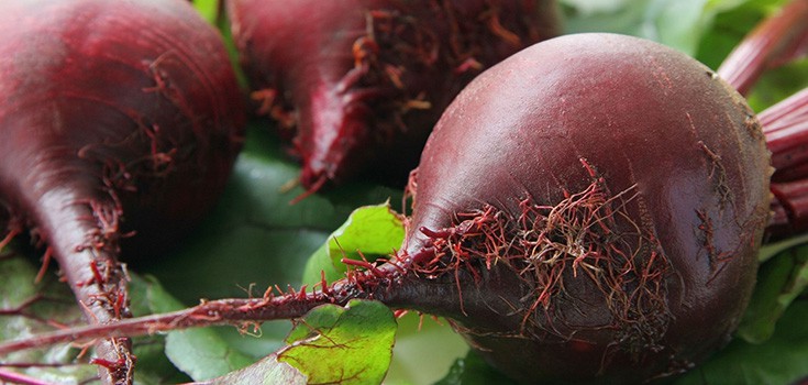 Health Benefits of Beetroot – Boosting Energy, Cancer Protection