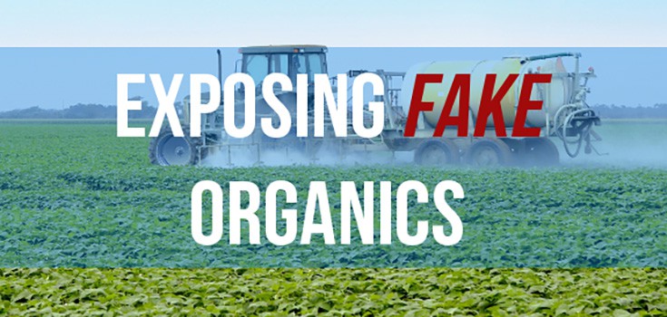 Chinese ‘Organic’ Contamination: How to Avoid Fake Organic Products