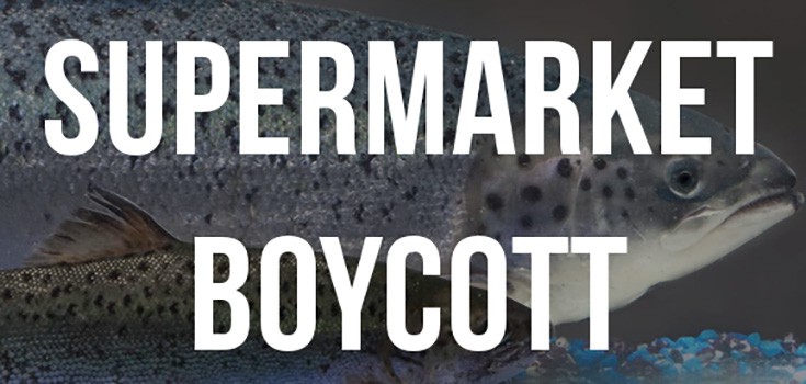 GMO Boycott: Major Supermarkets Say NO to GM Salmon