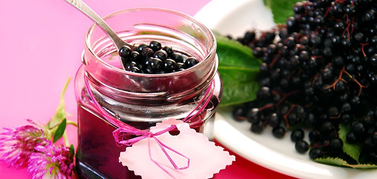 Black Elderberry: Natural Cold and Flu Treatment