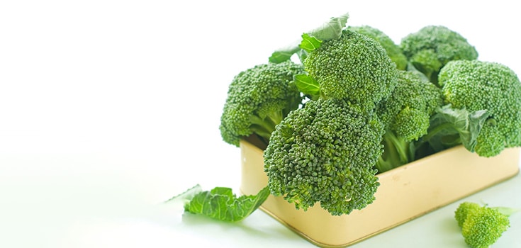 Compound in Broccoli Found to Suppress Tumor Growth, Halt Cancer in its Tracks