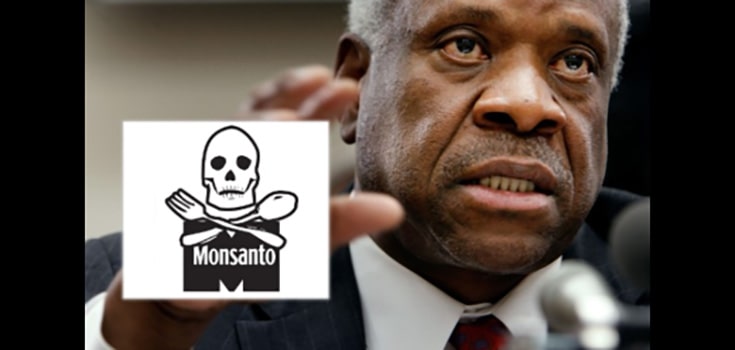 Above the Law: Supreme Court Sides with Monsanto over Farmers in Patent Case