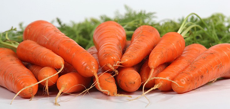 “Secret Weapon” in Carrots Reduces Risk of Cancerous ‘Full Scale Tumors’ by 1/3