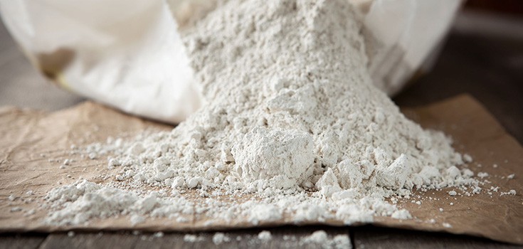The Benefits of Diatomaceous Earth: What You Need to Know