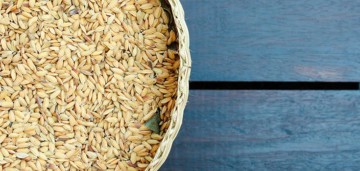 Rice Bran Oil Benefits: Preventing Depression, Cancer, Diabetes, and More
