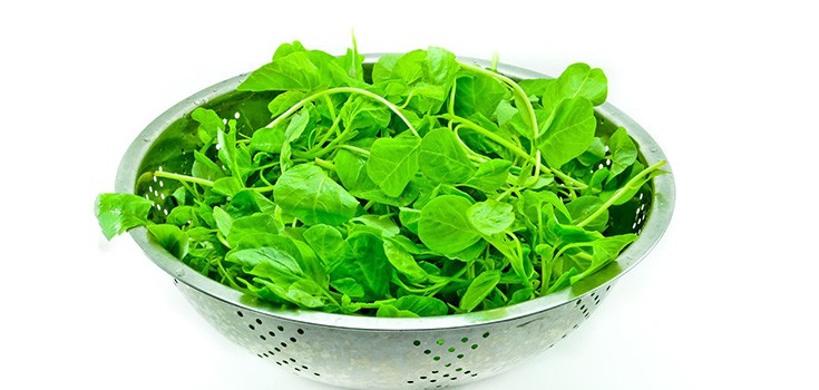 Spinach can Help Fine-Tune Physical Fitness, Develop Muscular Strength