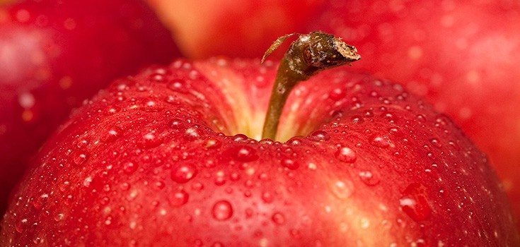 Apple Juice Daily Could Significantly Protect the Brain, Reduce Alzheimer’s Risk
