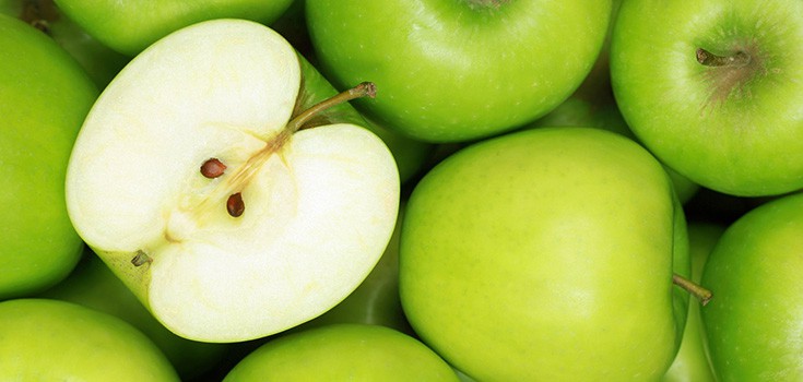 Apples Extend Fruit Fly Life by 10%, Equivalent of About 7 Human Years