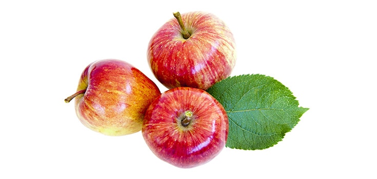 Apple and Grape Seed Extracts Reduce Cancer-Causing Chemicals from Cooking Meat