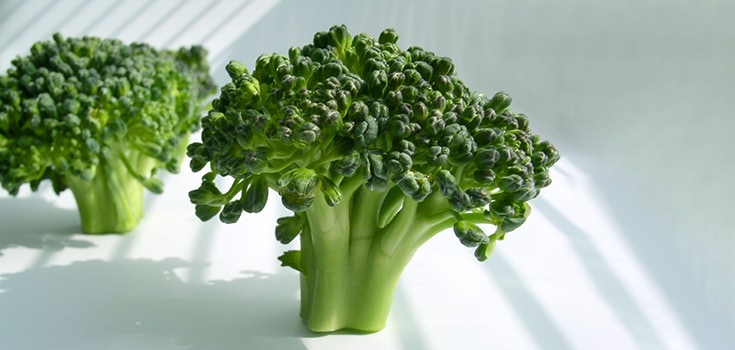 giant broccoli