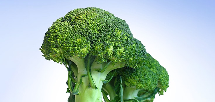 Eating Broccoli Reduces Risk of Cardiovascular Disease, Promotes Heart Health