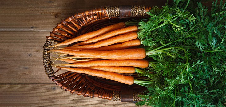 carrots in basket