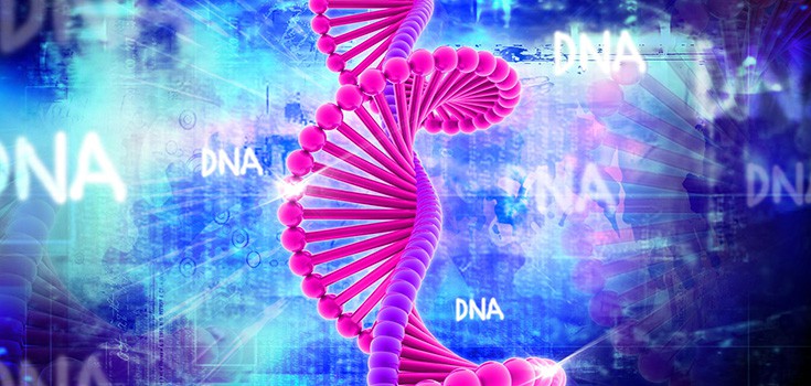 Species Alteration: Is GMO Rewiring our DNA?