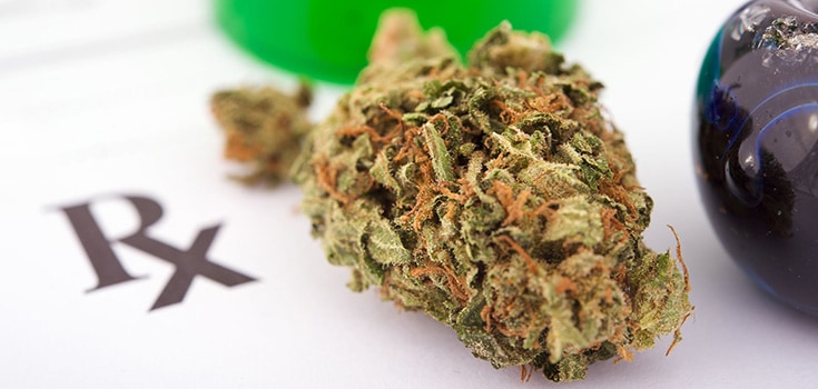 Cannabis Provides Dramatic Benefit for Chronic Diseases in Recent Study