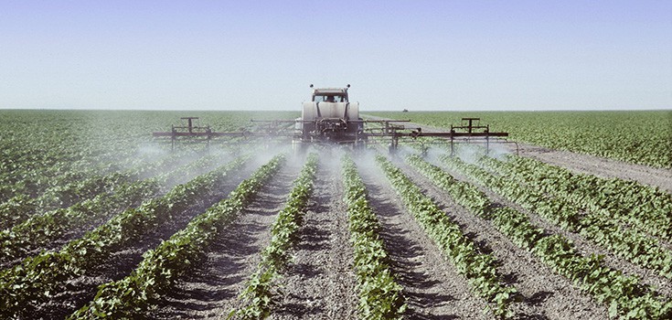 herbicides sprayed on field