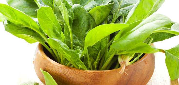 Spinach Protects Against Skin Cancer, Cuts Recurrence Risk by 55%