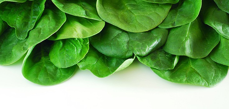 Preventing Macular Degeneration, Vision Loss with Spinach