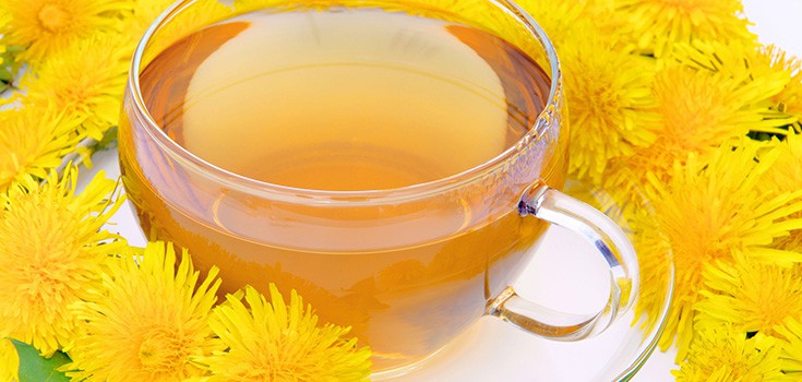 Cancer-Killing Dandelion Tea Receives $157,000 for Further Research