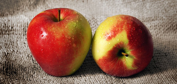 Apples Shown to Boost Muscular Strength, Combat Excess Fat