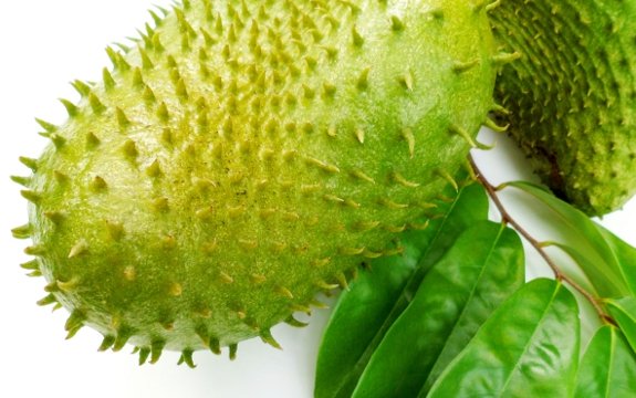 Could the Tropical Fruit Soursop Be a Solution to Cancer?