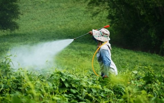 Second-Largest Dutch City Bans Monsanto’s Roundup Herbicide