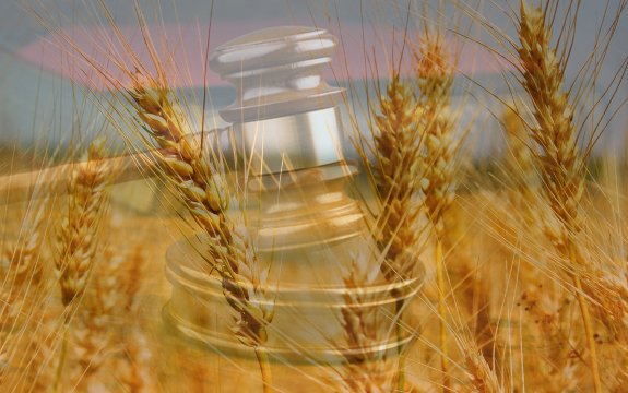 Farmer Sues Monsanto After Finding GM Wheat in Traditional Crop
