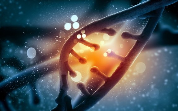 Blame Genetics? ‘Flawed Genes’ Cause Less than 1% of All Diseases
