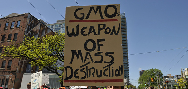 Chile Fights Monsanto Seed Patents: Rejects Proposed ‘Monsanto Law’