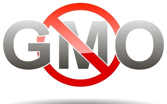 no GMO