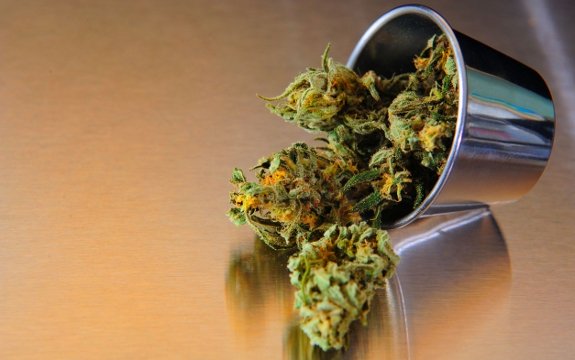 Child’s Non-Stop, ‘Untreatable’ Seizures Halted with Medicinal Marijuana