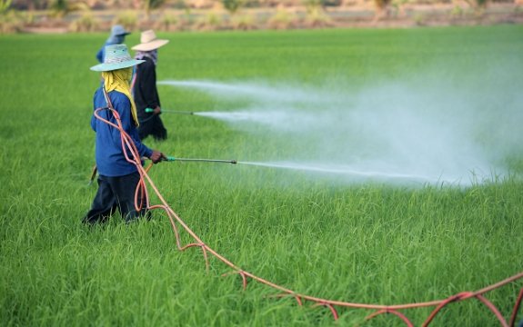 800 Million Pounds of Pesticides Can’t be Washed Off