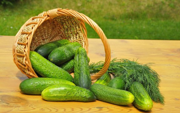 cucumbers