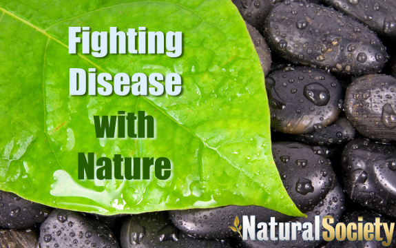 Natural Healing: Fighting Pandemic Disease with Herb Power