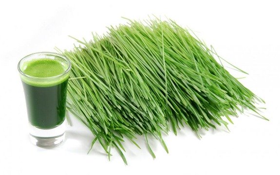 Barley Grass Has Highest Levels of Important Cancer-Killing Enzyme
