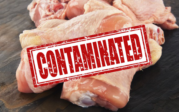 contaminated chicken