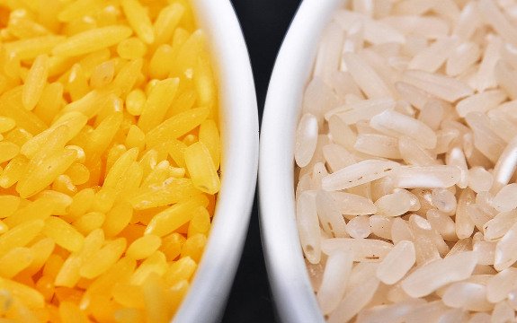 Potentially Dangerous GMO ‘Golden Rice’ Fed to Children Without Warning
